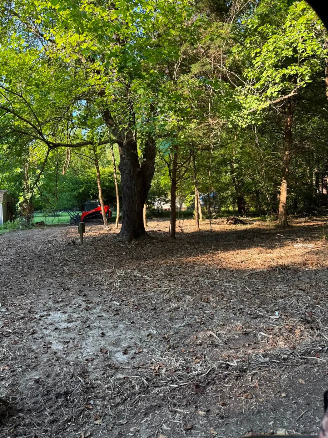 Same property cleared and mulched, open and usable